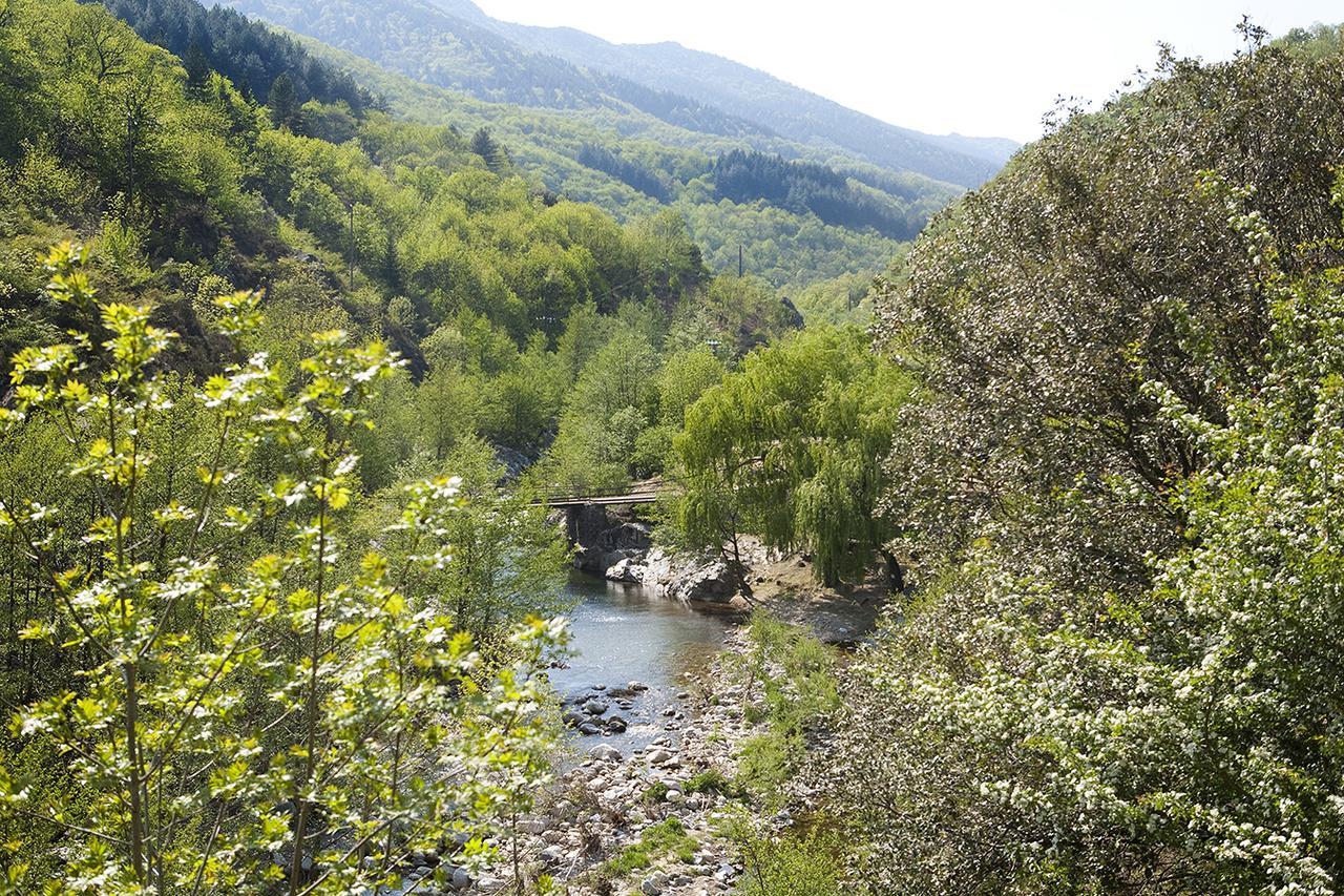 Logis Hotel-Restaurant Le Tanargue Valgorge Δωμάτιο φωτογραφία